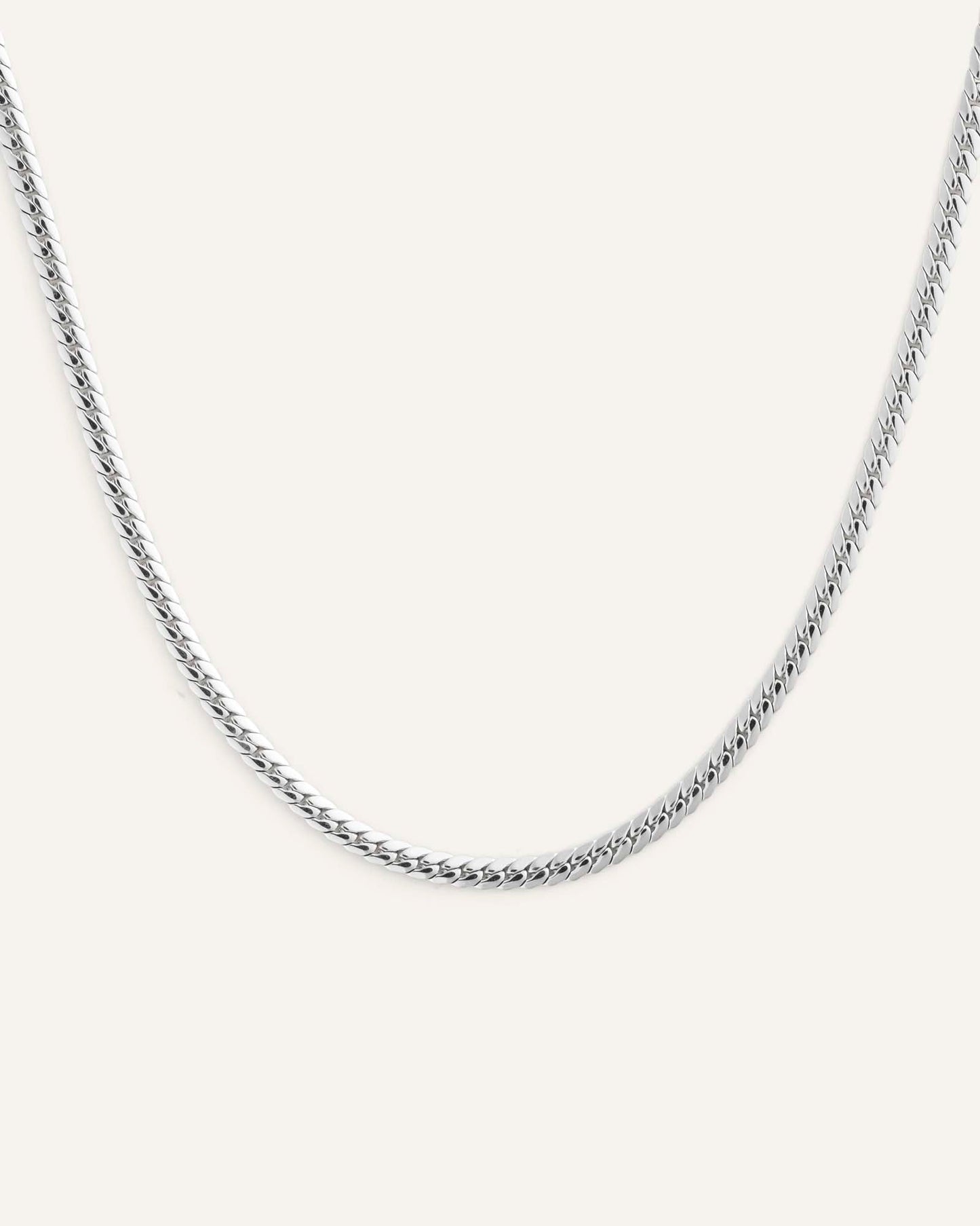 Serpentine Chain Steel Necklace