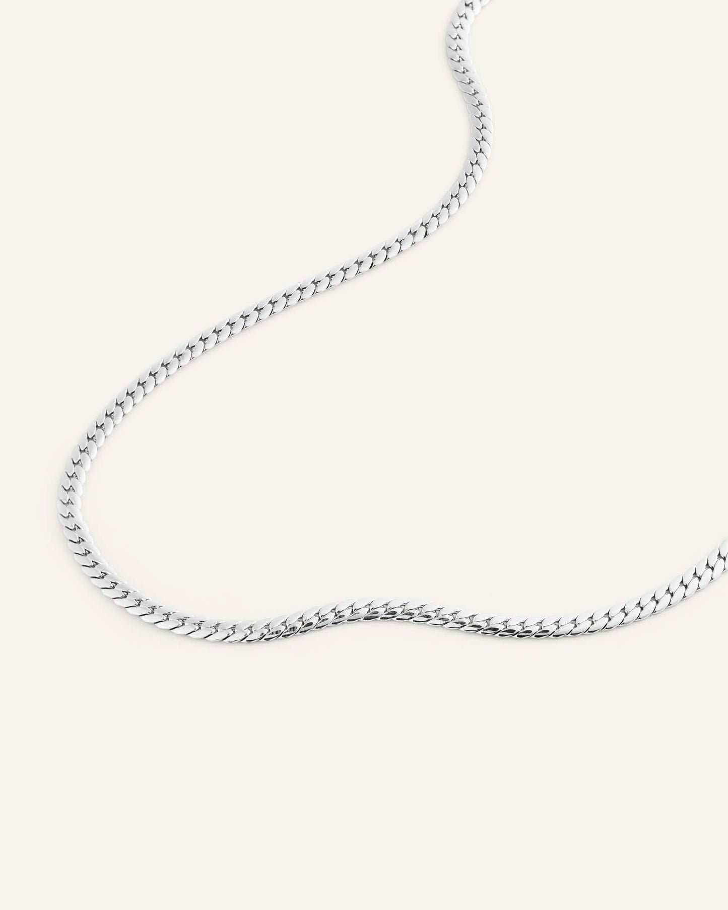 Serpentine Chain Steel Necklace
